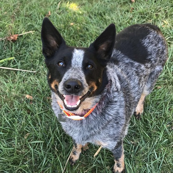 Meet your Posher, Tori - Picture 6 of 6